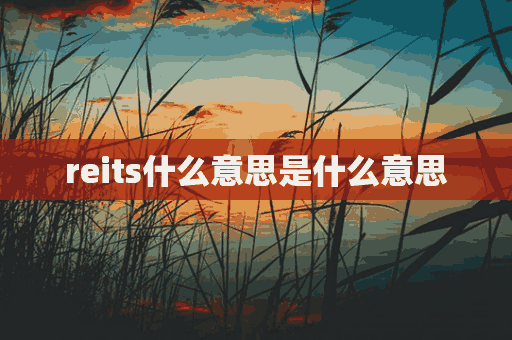 reits什么意思是什么意思